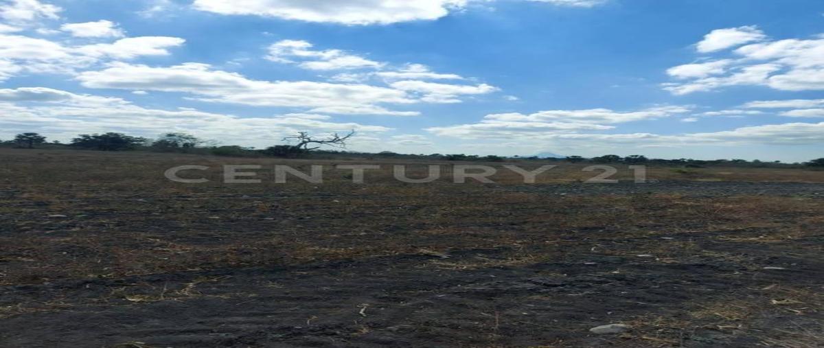 Foto de terreno habitacional en venta en  , gonzález [ejido], gonzález, tamaulipas, 0 No. 03